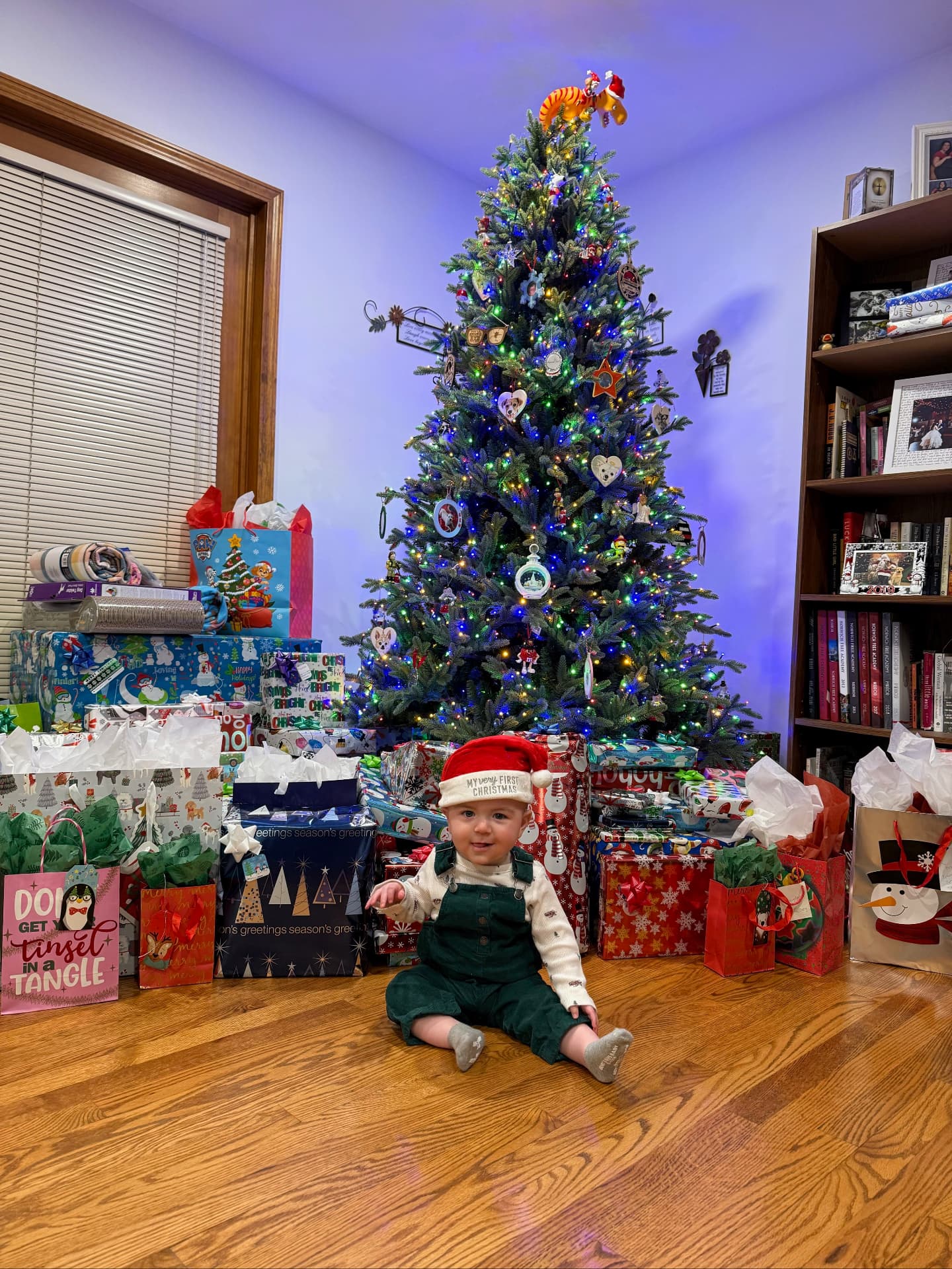 Brayden in a 'My Very First Christmas' hat and green overalls in front of a lit tree